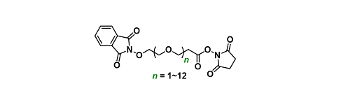 NHPI-PEGn-C2-NHS ester